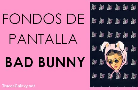Fondos de pantalla de Bad Bunny - Trucos Galaxy